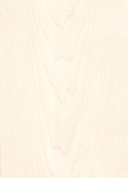 Maple