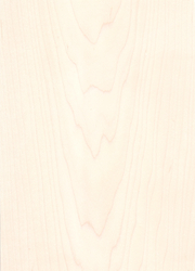 Maple